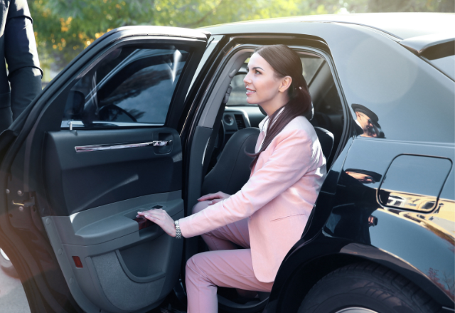 bolt chauffeur geneva